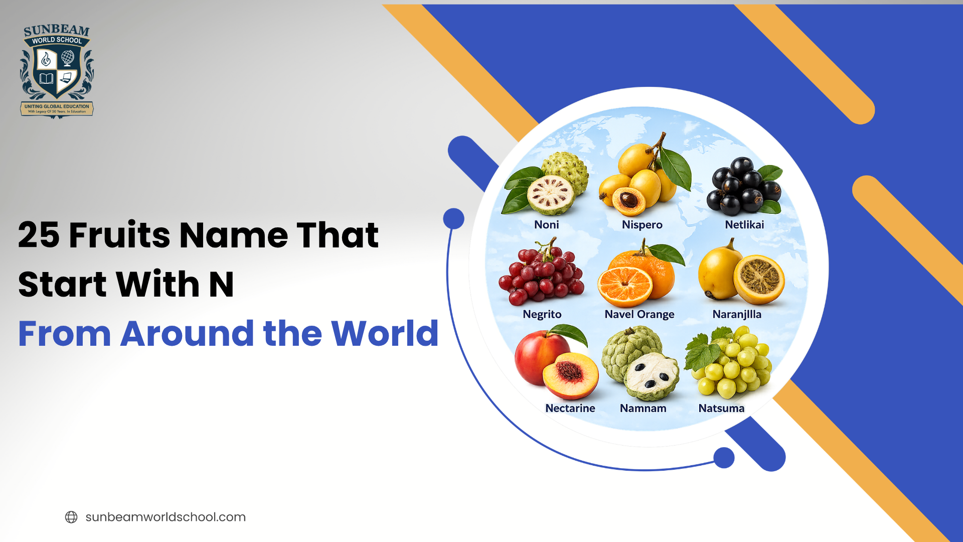 25 Fruits Name That Start With N From Around the World