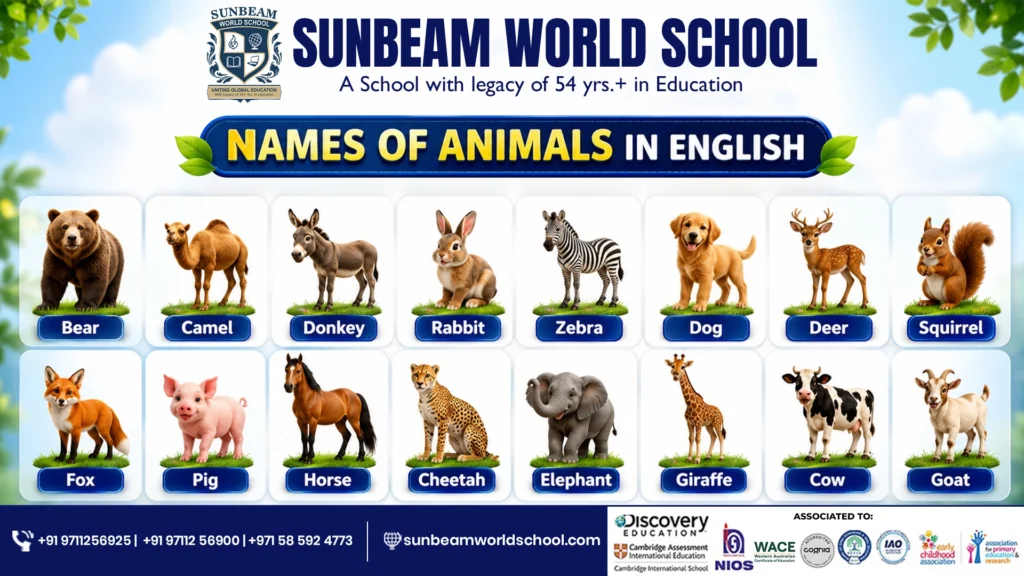 Educational chart showing names of common animals in English— by Sunbeam World School
