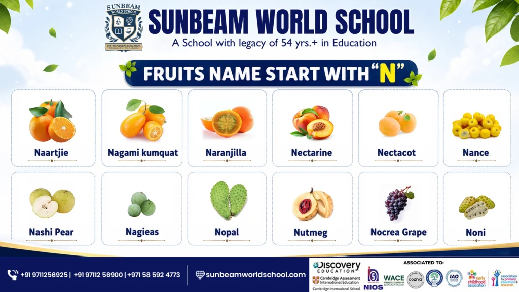 A colourful educational chart titled "Fruits Name Start With N" showing fruits image and label, published by Sunbeam World School.