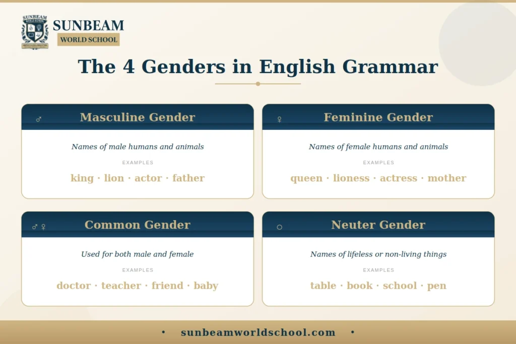 Genders in English grammar infographic showing masculine, feminine, common, and neuter genders with definitions and examples.