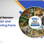 Wild Animal Names