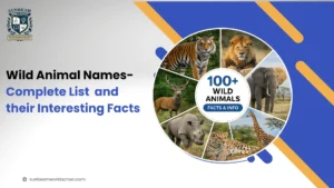 Wild Animal Names: A Complete List of 100+ Wild Animals and Their Interesting Facts