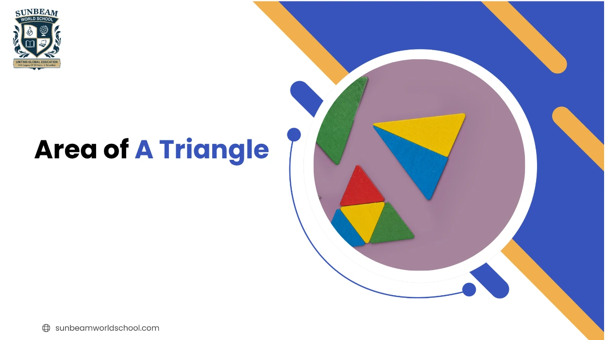 Area of a Triangle