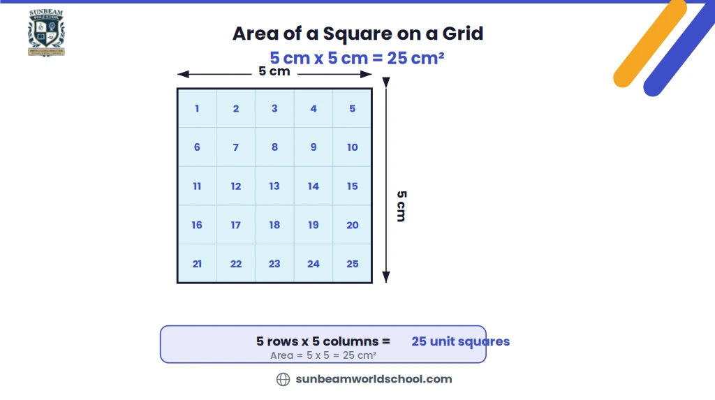 A 5 cm by 5 cm square drawn on a grid, divided into 25 numbered unit squares, with dimension arrows showing 5 cm on the top and right side