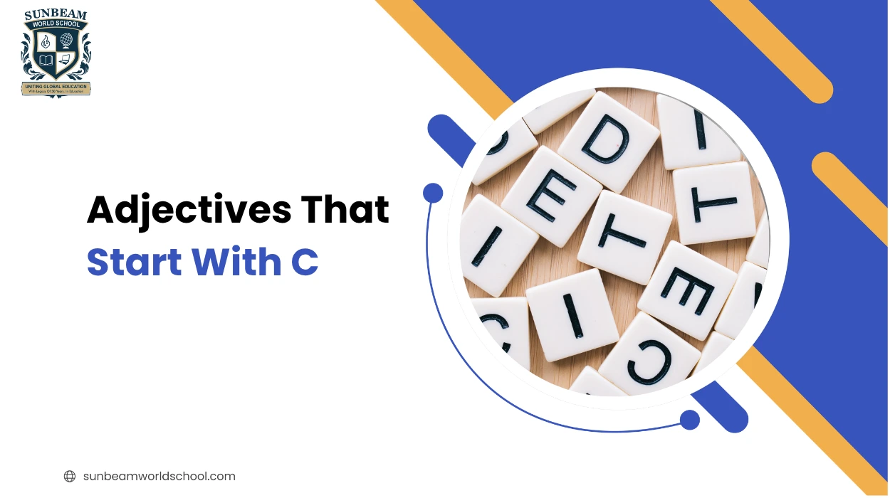 Adjectives That Start With C