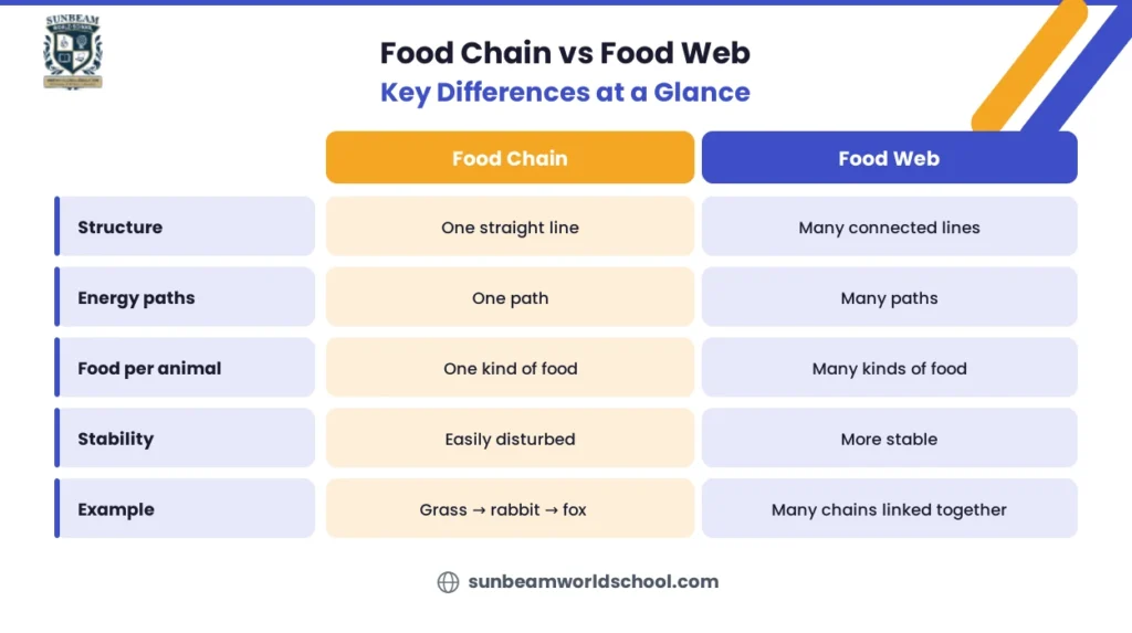 Difference between food chain and food web comparison table