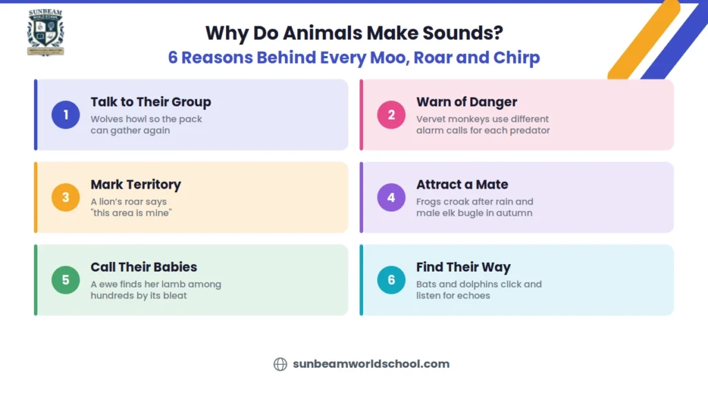 Six reasons why animals make sounds, from warning of danger to finding their way with echolocation