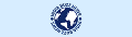264 india buzz news